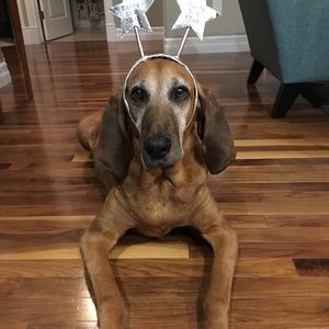 Meet your Posher, Angie